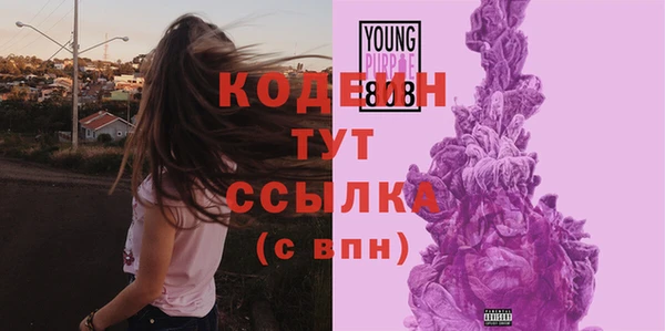 apvp Каменка