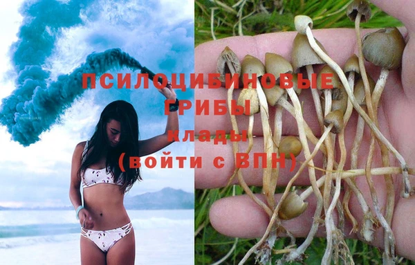 трава Каменногорск