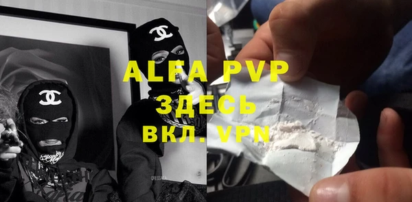 apvp Каменка