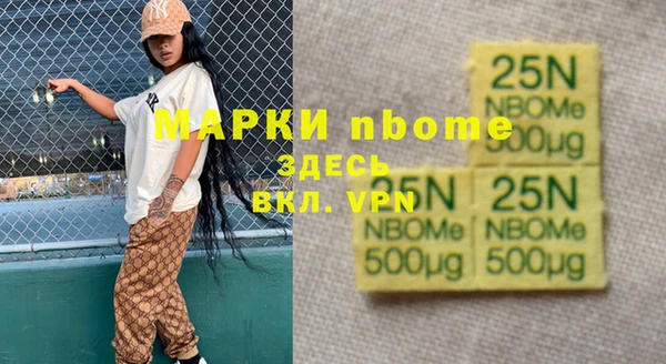apvp Каменка