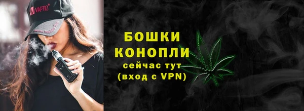 apvp Каменка