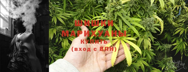 трава Каменногорск