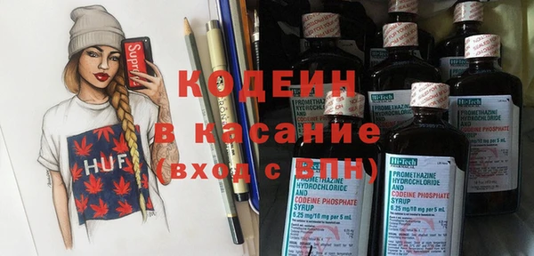 apvp Каменка