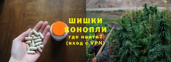 apvp Каменка