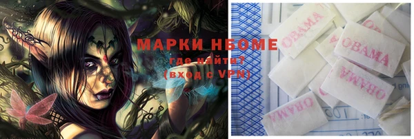 apvp Каменка