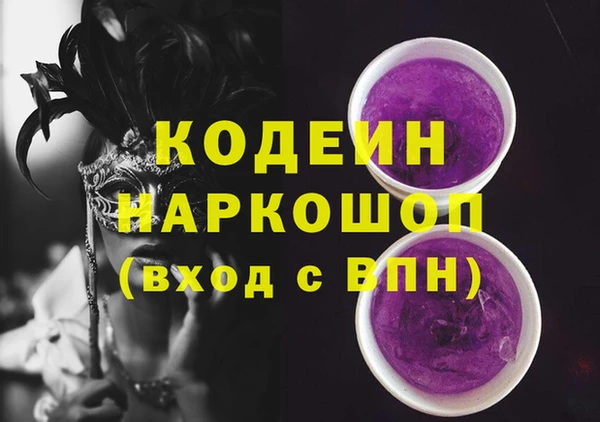 apvp Каменка