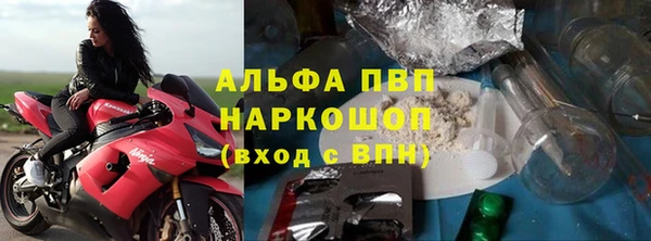 apvp Каменка