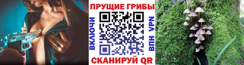 Галлюциногенные грибы MAGIC MUSHROOMS  KRAKEN ССЫЛКА  Ессентуки 